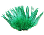 5-7" Emerald Green Rooster Saddle Feathers for Crafting, Headpiece,  ~9g, 0.32Oz