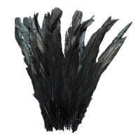 25pcs 10-12" Black Bleach-Dyed Rooster Coque Tail Feathers