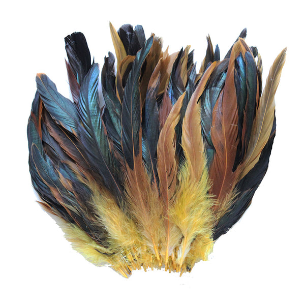 Rooster Tail Feathers