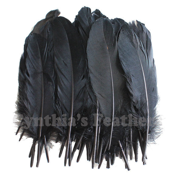 Turkey Feathers, Black Turkey Round Quill Feathers 6-8 inches 50 Pieces SKU: 6A11