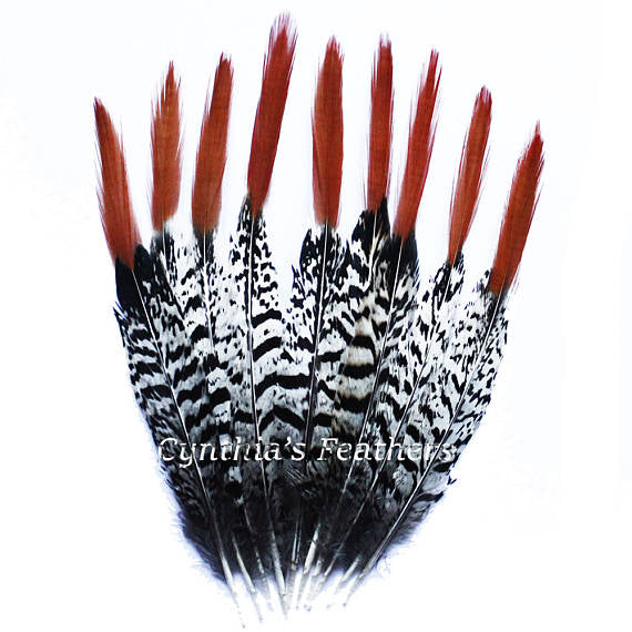 10Pcs/Lot Natural Plume Lady Amherst Pheasant Feathers For Crafts