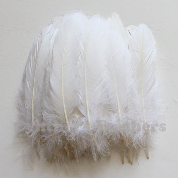 Turkey Feathers, White Turkey Round Quill Feathers 6-8 inches 50 Piece –