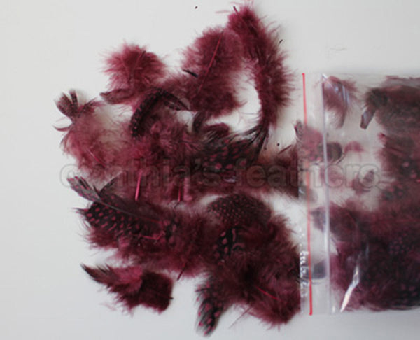 12g (0.42oz) Burgundy 1~4" Guinea Hen Plumage Feathers