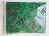 12g (0.42oz) Emerald Green 1~4" Guinea Hen Plumage Feathers