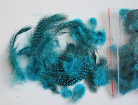 12g (0.42oz) Turquoise 1~4" Guinea Hen Plumage Feathers