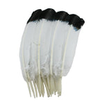 Turkey Feathers, White with Black tips Turkey Round Quill Feathers 12-14 inches 20 Pieces