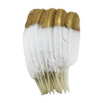 Turkey Feathers, White with metallic gold spray paint Turkey Round Quill Feathers 12-14 inches 20 Pieces
