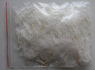 1/4 oz Ivory 1-3" Turkey Marabou Loose Feathers 50-70 Pieces