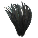 25pcs 16-18" Black Bleach-Dyed Rooster Coque Tail Feathers