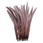 25pcs 16-18" Brown Bleach-Dyed Rooster Coque Tail Feathers
