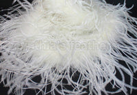 1 ply 72" Cream Yellow Ostrich Feather Boa