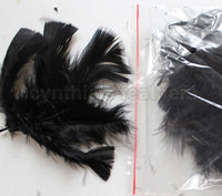 0.35 oz Black 3-4" Turkey Plumage Loose Feathers 80-120 Pieces