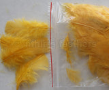 0.35 oz Gold Yellow  3-4" Turkey Plumage Loose Feathers 80-120 Pieces