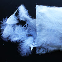 0.35 oz Natural White  3-4" Turkey Plumage Loose Feathers 80-120 Pieces
