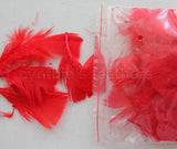 0.35 oz Red  3-4" Turkey Plumage Loose Feathers 80-120 Pieces