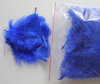 0.35 oz Royal Blue  3-4" Turkey Plumage Loose Feathers 80-120 Pieces