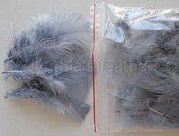 0.35 oz Silver Grey  3-4" Turkey Plumage Loose Feathers 80-120 Pieces