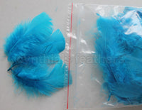 0.35 oz Turquoise  3-4" Turkey Plumage Loose Feathers 80-120 Pieces
