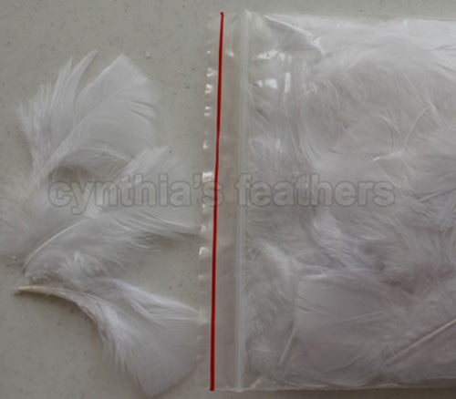0.35 oz White  3-4" Turkey Plumage Loose Feathers 80-120 Pieces