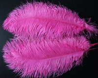 Ostrich Feather, Ten Piece 20-22" Hot Pink Ostrich Drab Plume Feather