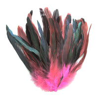 16 Grams (0.6 ozs) 8-10" Half Bronze Hot Pink Schlappen Coque Rooster Tail Feathers, ~80 pcs