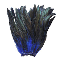 16 Grams (0.6 ozs) 8-10" Half Bronze Royal Blue Schlappen Coque Rooster Tail Feathers, ~80 pcs