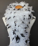 80 Grams White With Black Tips Chandelle Feather Boa