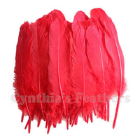 Turkey Feathers, Red Turkey Round Quill Feathers 6-8 inches 50 Pieces SKU: 6A11