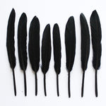 Duck Feathers, Black Duck Cochettes Feathers SKU: 7J13