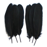 Goose Feathers, Black Goose Satinettes Feathers Crafting Decoration Halloween Costume SKU: 7I13