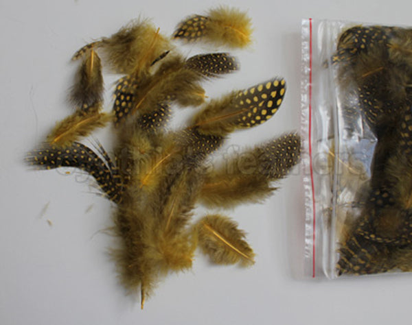 12g (0.42oz) Golden Yellow 1~4" Guinea Hen Plumage Feathers