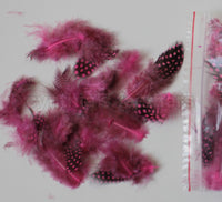 12g (0.42oz) Hot Pink 1~4" Guinea Hen Plumage Feathers
