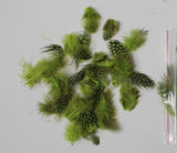 12g (0.42oz) Lime Green 1~4" Guinea Hen Plumage Feathers