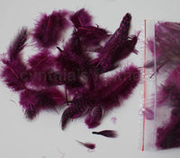 12g (0.42oz) Purple Plum 1~4" Guinea Hen Plumage Feathers