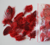 12g (0.42oz) Red 1~4" Guinea Hen Plumage Feathers