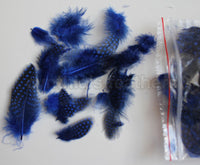 12g (0.42oz) Royal Blue 1~4" Guinea Hen Plumage Feathers