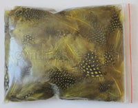12g (0.42oz) Yellow 1~4" Guinea Hen Plumage Feathers
