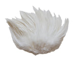 5-7" Ivory Rooster Saddle Feathers for Crafting, Headpiece,  ~9g, 0.32Oz
