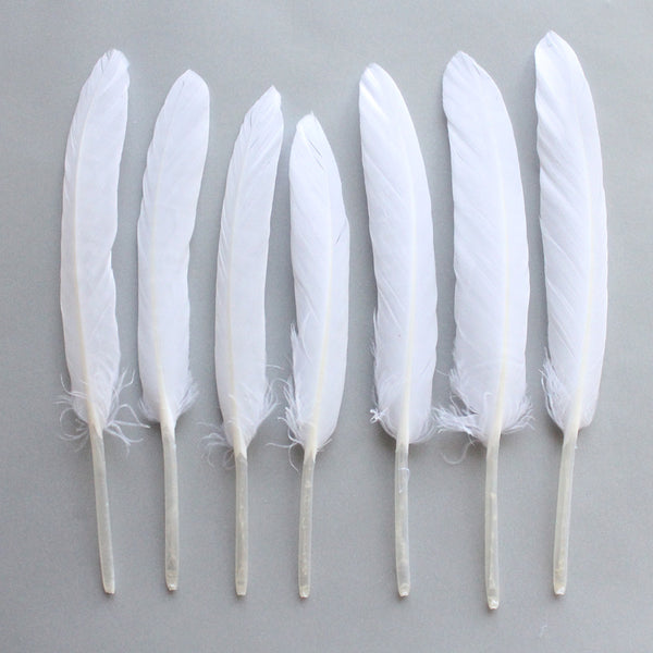 Duck Feathers, White Duck Cochettes Feathers SKU: 7J13