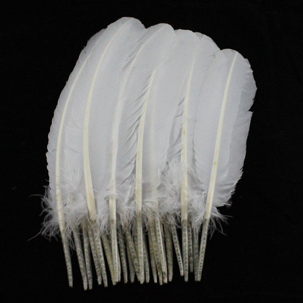 Turkey Feathers, White Turkey Round Quill Feathers 10-12 inches 20 Pieces