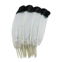 Turkey Feathers, White with Black tips Turkey Round Quill Feathers 10-12 inches 20 Pieces